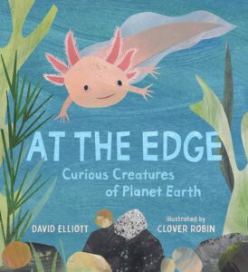 Cover of "At the Edge" by David Elliott